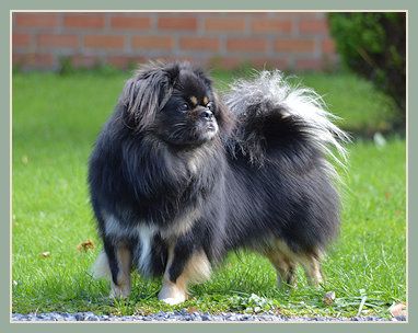 Un Ok Old Rock Valley